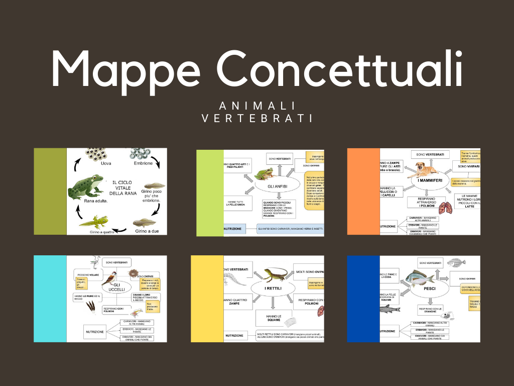 Gli Animali Vertebrati – Mappe Concettuali